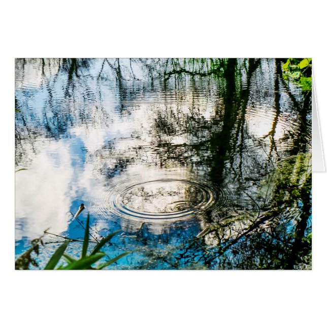 Raindrop Ripples (Front Horizontal)