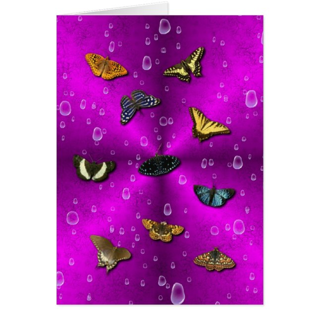 Raindrops and Butterfly on Pink Rainbow (Front)