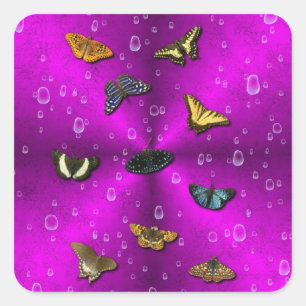 Raindrops and Butterfly on Pink Rainbow Square Sticker