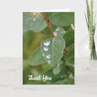 Raindrops and Green Leaves Folded Thank You Card