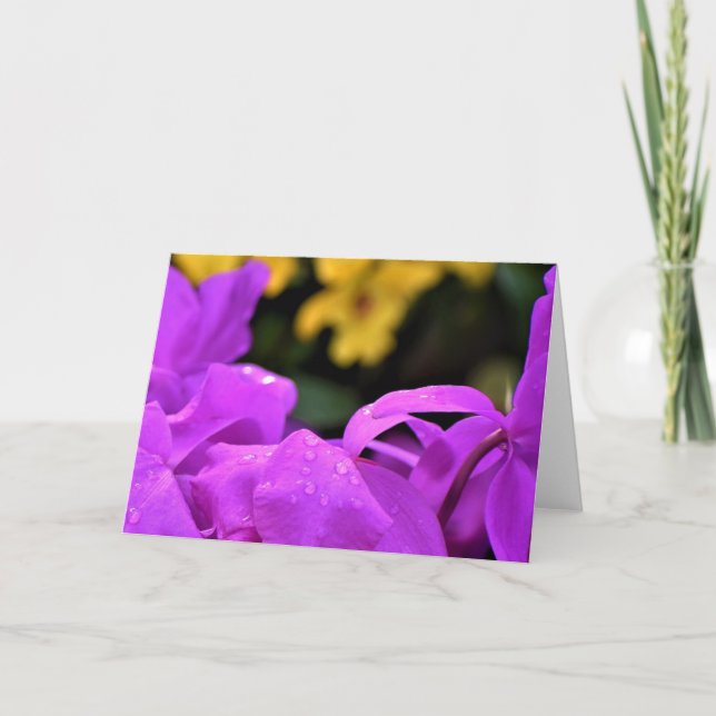 Raindrops, card (Front)