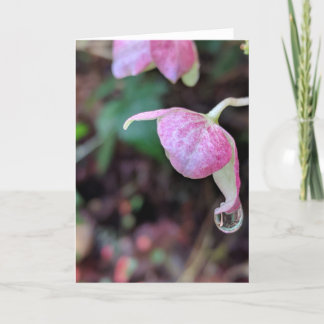 Raindrops Collection #3 Card