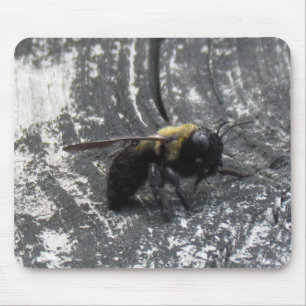 Raindrops Mouse Pad