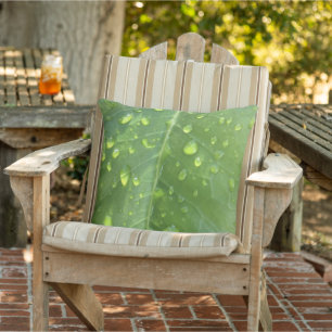Raindrops on a Leaf Cushion