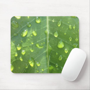 Raindrops on a Leaf Mouse Pad