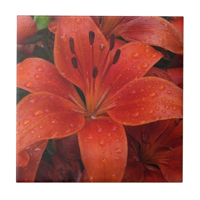Raindrops on a Lily Tile (Front)