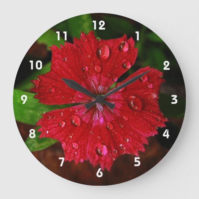 Raindrops on Beautiful Red Dianthus Flower Photo Large Clock (Front)
