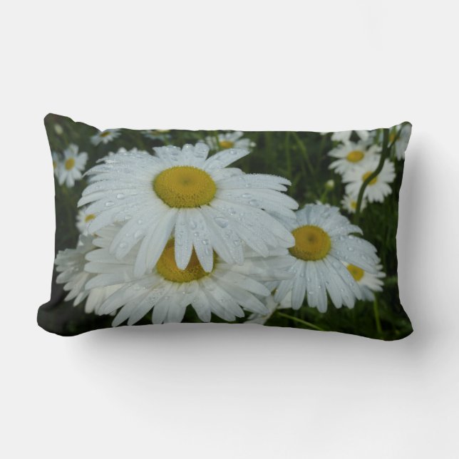 Raindrops on Daisies Wildflower Floral Lumbar Cushion (Front)