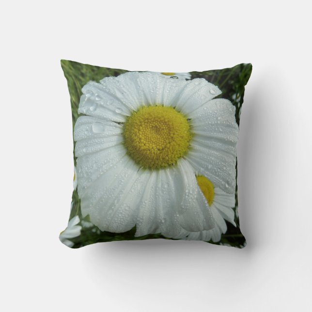 Raindrops on Daisy I Wildflower Floral Cushion (Front)
