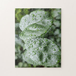 Raindrops on Dark Green Leaves Jigsaw Puzzle