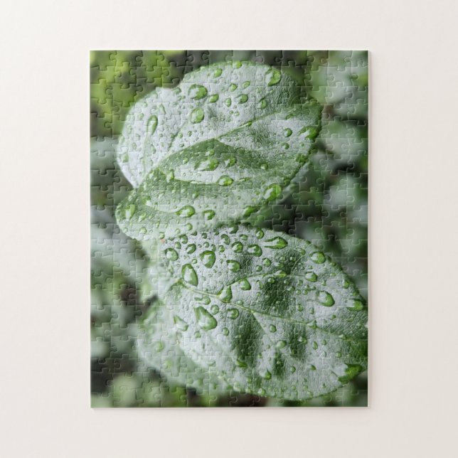 Raindrops on Dark Green Leaves Jigsaw Puzzle (Vertical)
