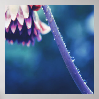 Raindrops on Flower Stem  Macro Abstract Poster