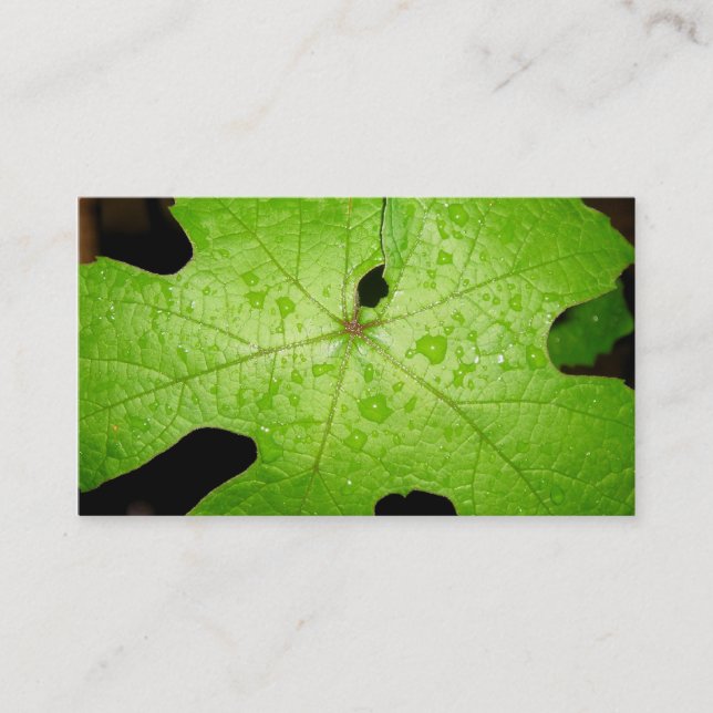 Raindrops on Grape Leaf Business Card (Front)