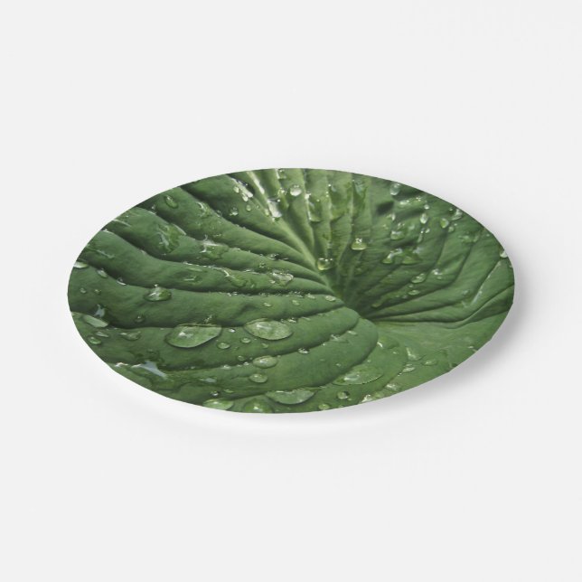 Raindrops on Hosta Leaf 7 Inch Paper Plate (Angled)