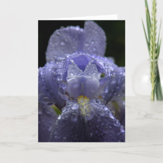 Raindrops on Iris - Greeting Card