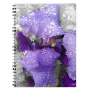raindrops on iris notebook