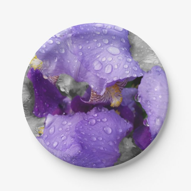 raindrops on iris paper plate (Front)