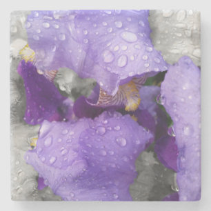 raindrops on iris stone coaster
