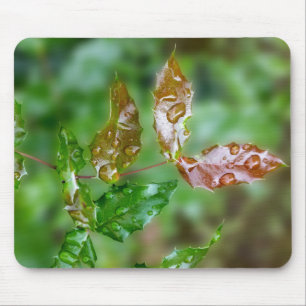 raindrops on leaves mouse pad