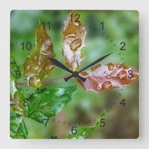 raindrops on leaves square wall clock