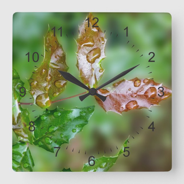 raindrops on leaves square wall clock (Front)