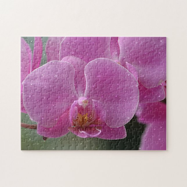 Raindrops On Orchid Puzzle (Horizontal)