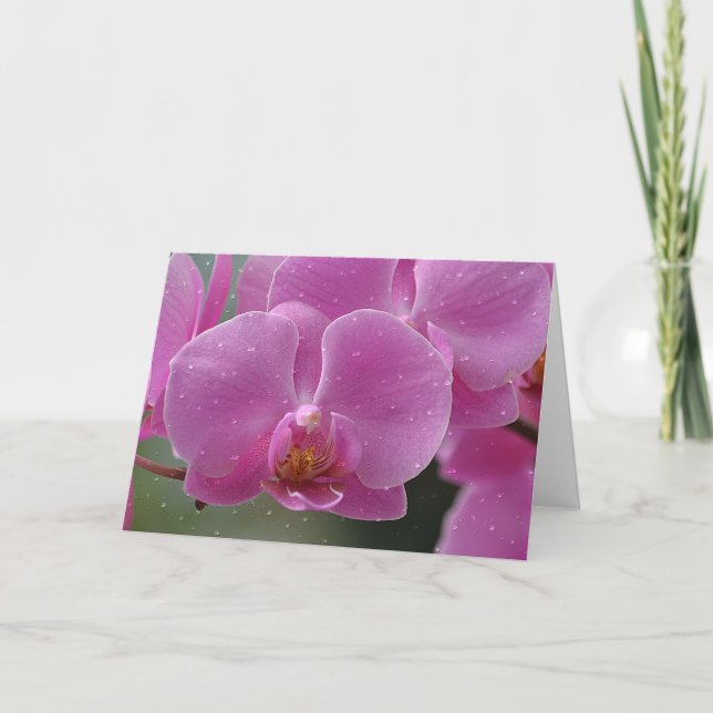 Raindrops On Orchids Note Card (Front)