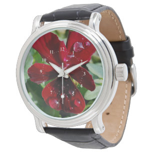 Raindrops on pansy watch