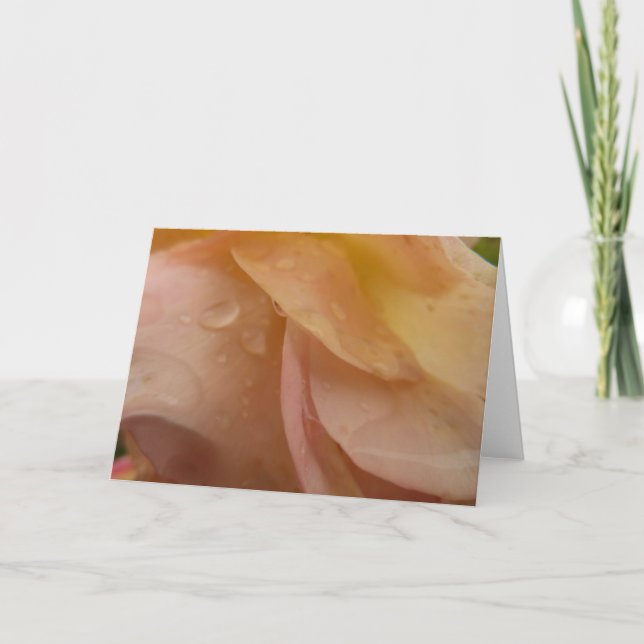 Raindrops on Rose Petals Pink Peach Floral Card (Front)
