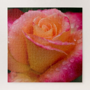 Raindrops On Roses 20x20 hard Jigsaw Puzzle