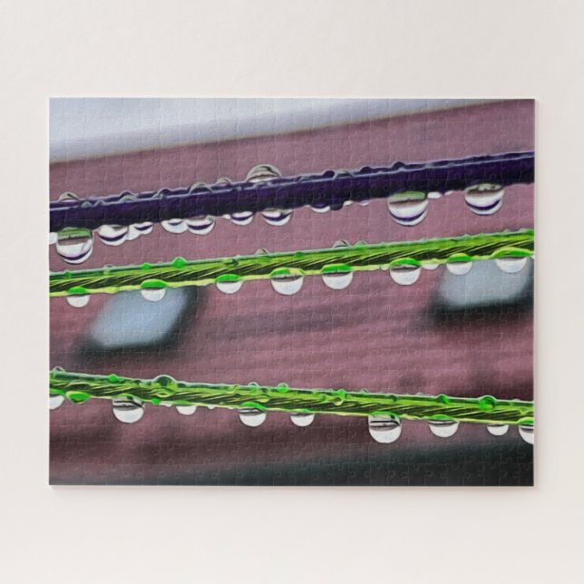 Raindrops on strings jigsaw puzzle (Horizontal)