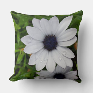 raindrops on white cushion