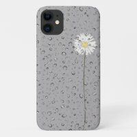 raindrops on white daisy