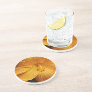 raindrops on yellow petals coaster