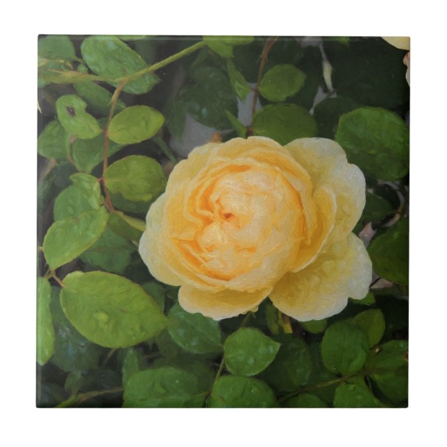 Raindrops on Yellow Rose Ceramic Tile (Front)