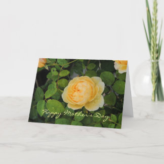 Raindrops on Yellow Rose Mother's Day Card