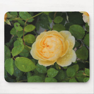 Raindrops on Yellow Rose Mouse Pad