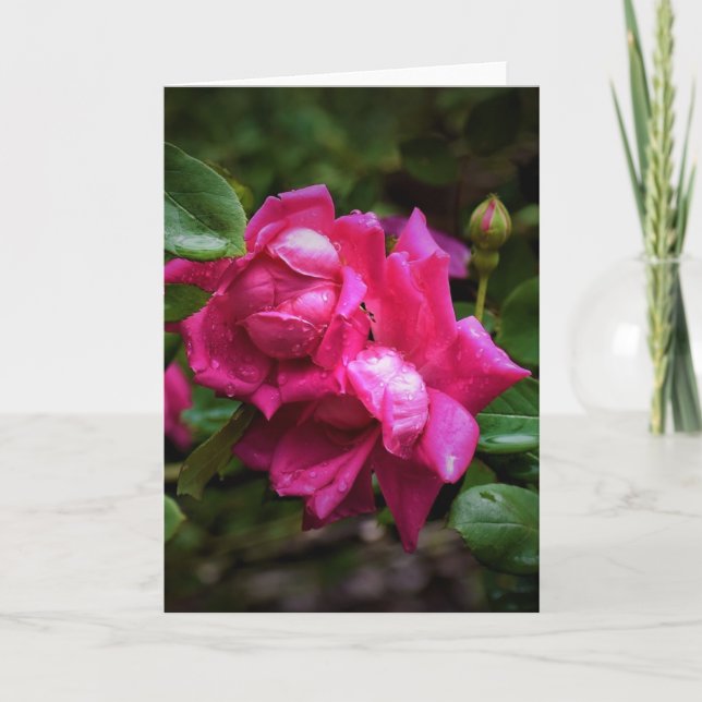 Raindrops & Red Roses, card (Front)