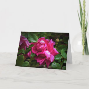 Raindrops & Red Roses, card