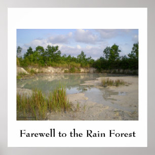 Rainforest Conservation  poster