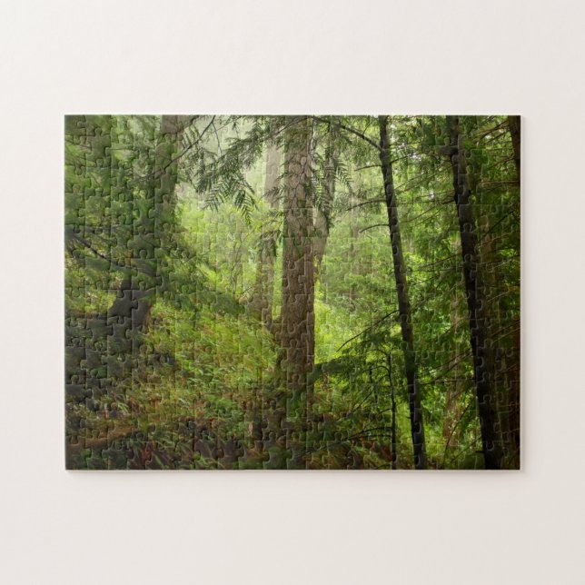 Rainforest in Olympic National Park Photo Jigsaw Puzzle (Horizontal)