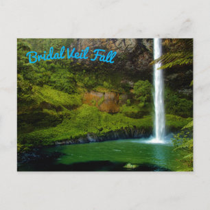 Rainforest Jungle Waterfall Postcard