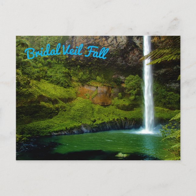 Rainforest Jungle Waterfall Postcard (Front)