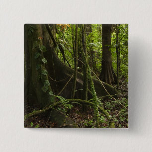 Rainforest, Mapari River North Rupununi, 15 Cm Square Badge