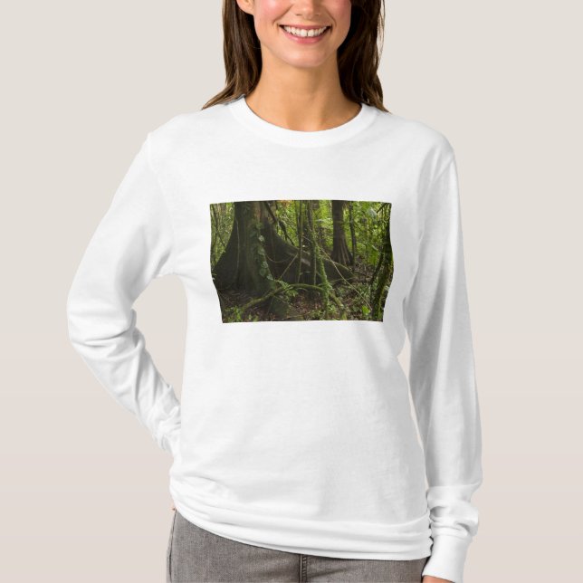 Rainforest, Mapari River North Rupununi, T-Shirt (Front)