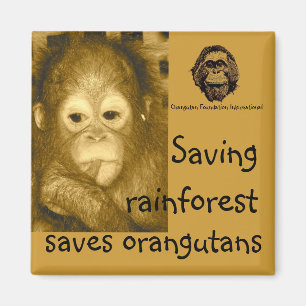Rainforest & Orangutans Magnet