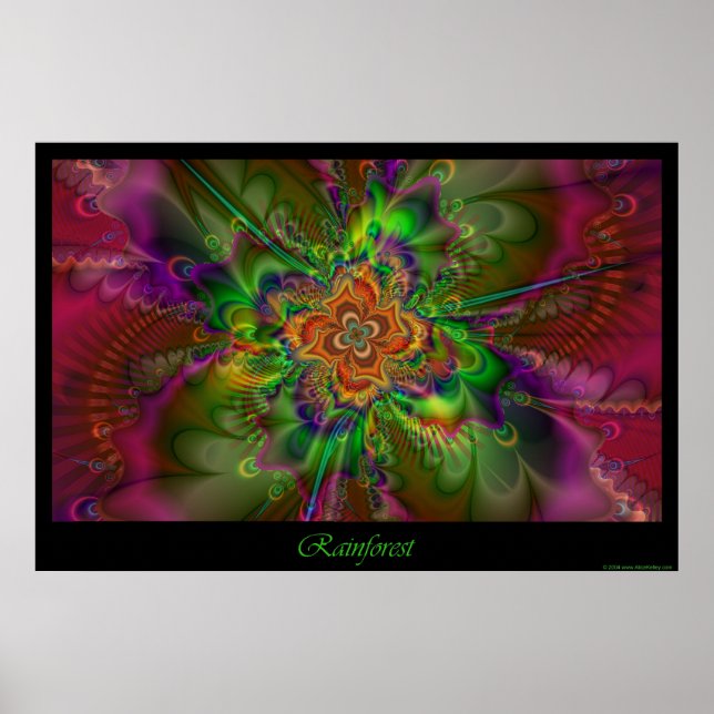 Rainforest poster (Front)
