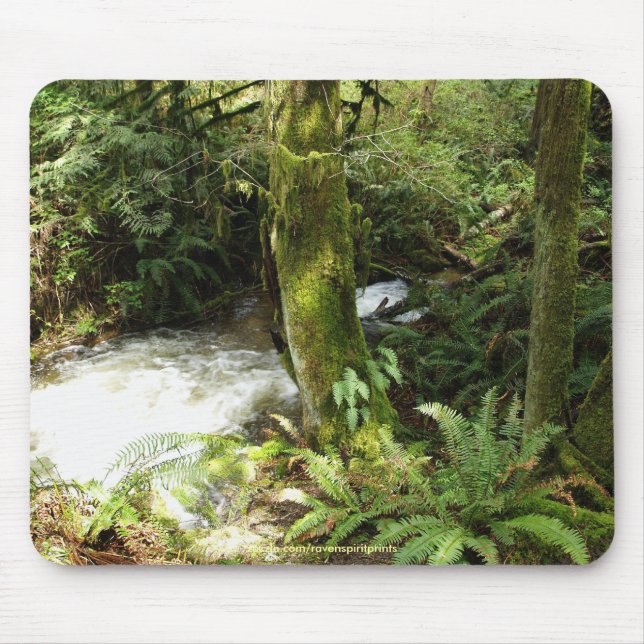 Rainforest Stream Wilderness Nature Photo Mousepad (Front)