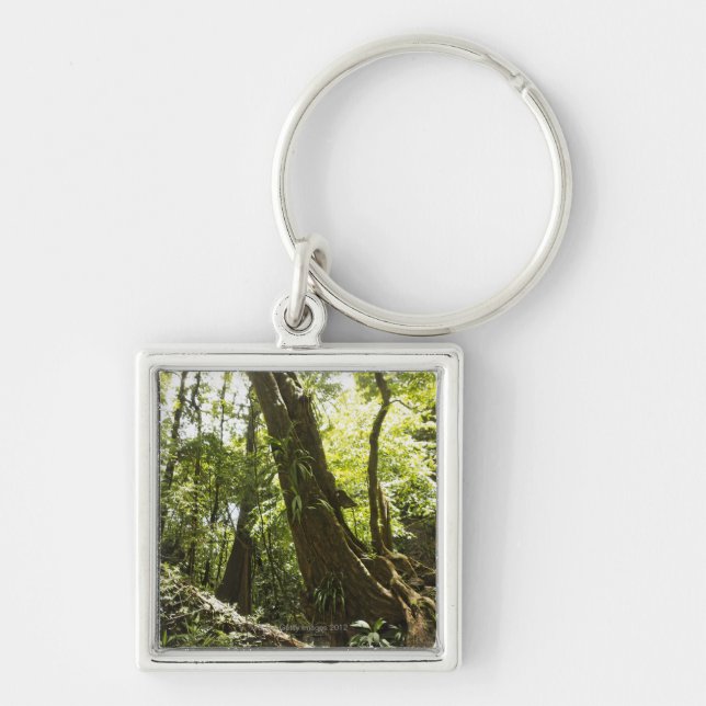 rainforest view, Dominica Key Ring (Front)