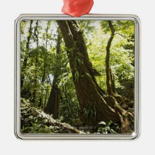 rainforest view, Dominica Metal Tree Decoration